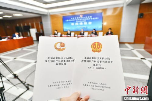 北京朝陽法院發布涉外知識產權民事司法保護白皮書 提升服務能力，優化營商環境
